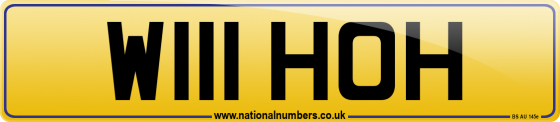W111 HOH