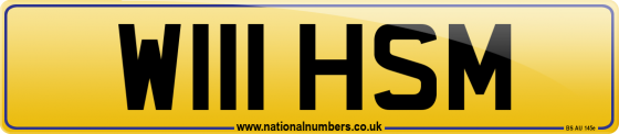 W111 HSM