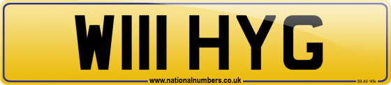 W111 HYG