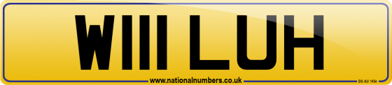 W111 LUH