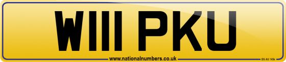 W111 PKU