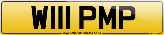 W111 PMP