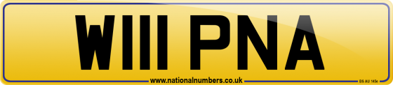 W111 PNA