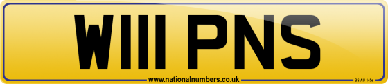 W111 PNS