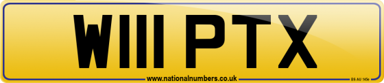 W111 PTX