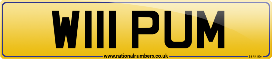 W111 PUM