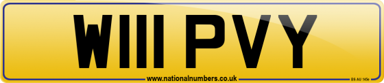 W111 PVY