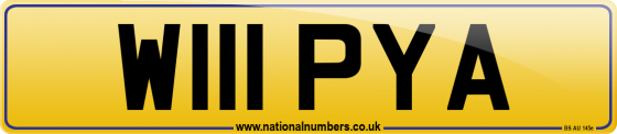 W111 PYA