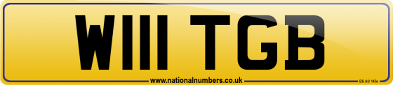 W111 TGB