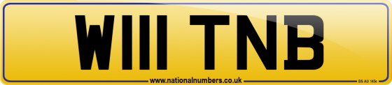 W111 TNB