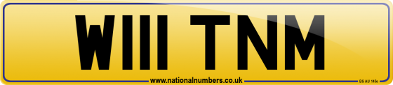 W111 TNM