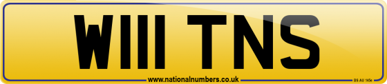 W111 TNS