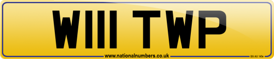 W111 TWP