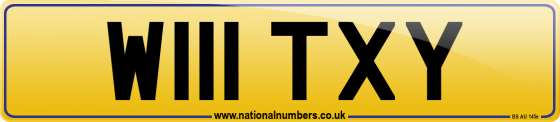 W111 TXY