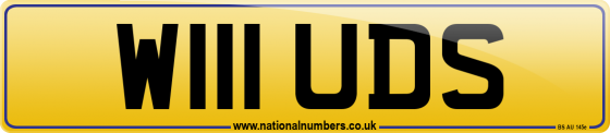 W111 UDS
