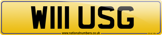 W111 USG