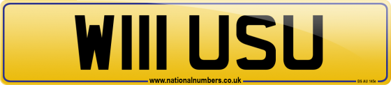 W111 USU