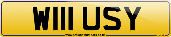 W111 USY