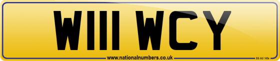 W111 WCY