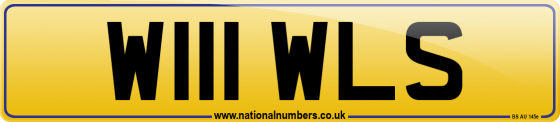 W111 WLS