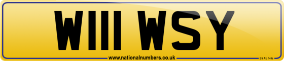 W111 WSY