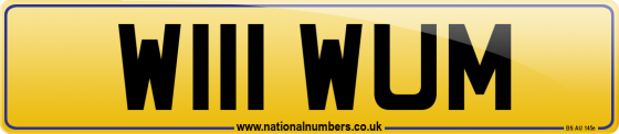 W111 WUM