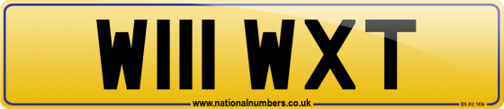 W111 WXT