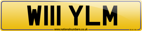 W111 YLM