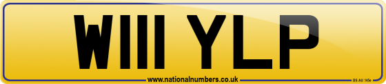 W111 YLP