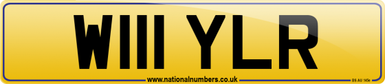 W111 YLR