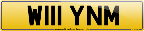 W111 YNM