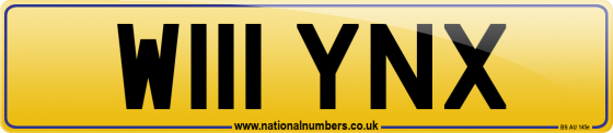 W111 YNX
