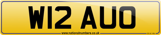 W12 AUO