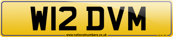 W12 DVM