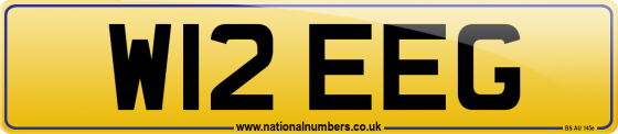 W12 EEG