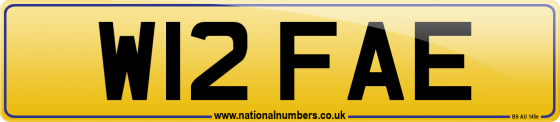 W12 FAE