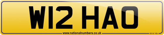 W12 HAO