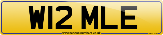 W12 MLE
