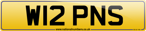 W12 PNS