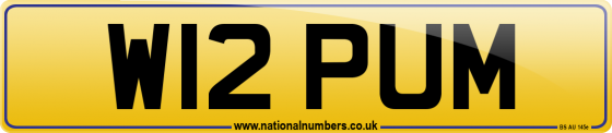 W12 PUM
