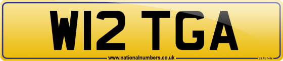 W12 TGA