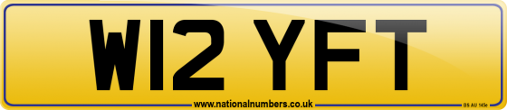 W12 YFT