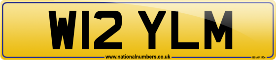 W12 YLM
