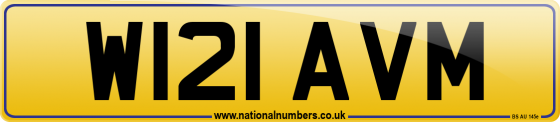 W121 AVM