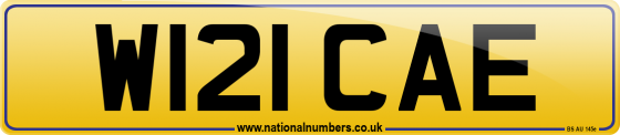 W121 CAE