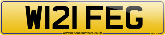 W121 FEG