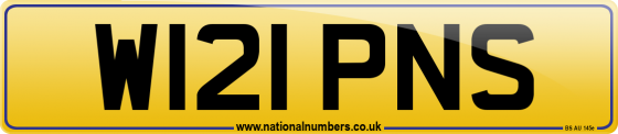 W121 PNS