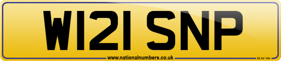 W121 SNP