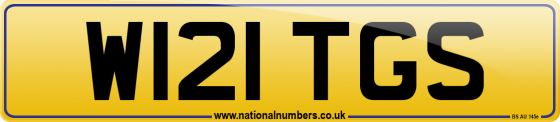 W121 TGS