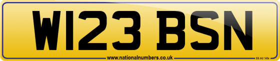 W123 BSN